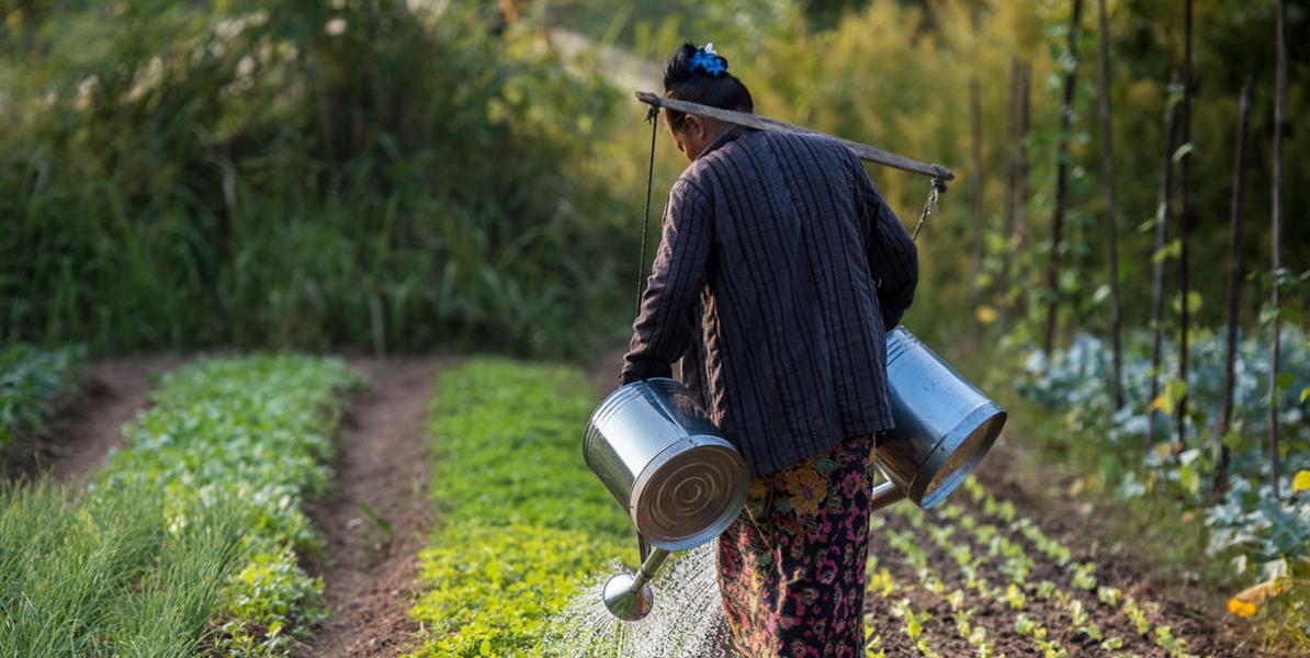 Regenerative Agriculture
